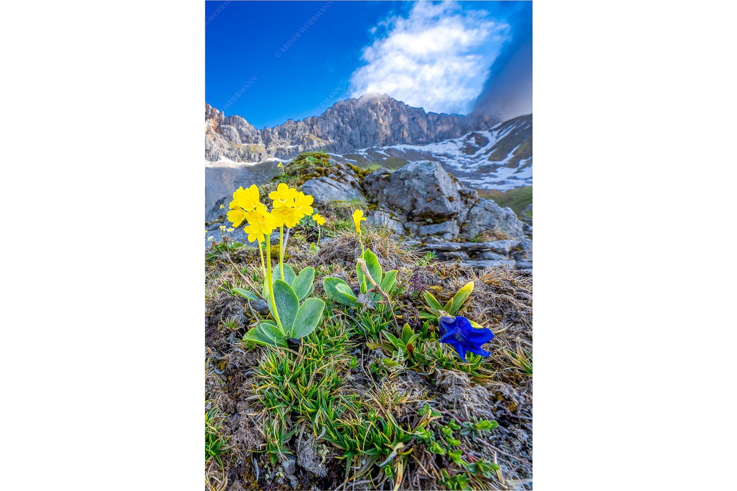 Fotografie © Kriner-Weiermann.de