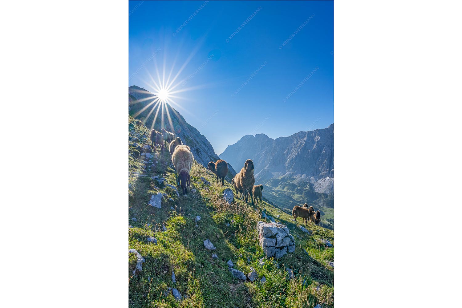 Fotografie © Kriner-Weiermann.de