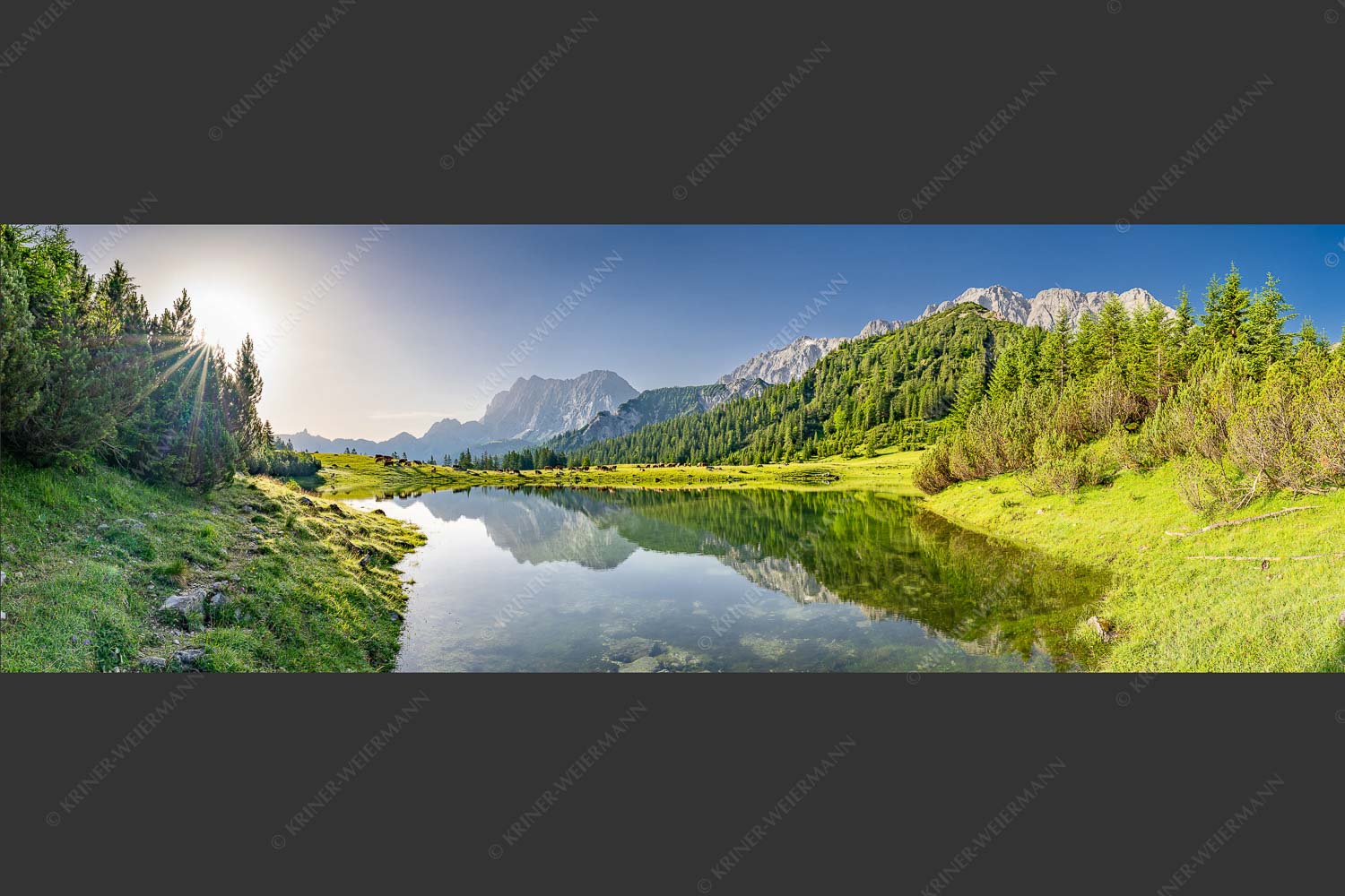 Almsommer auf der Fereineralm im Karwendelgebirge - Almfrieden 3:1 -- Fereineralm im Karwendel - mehr Infos bei www.Kriner-Weiermann.de