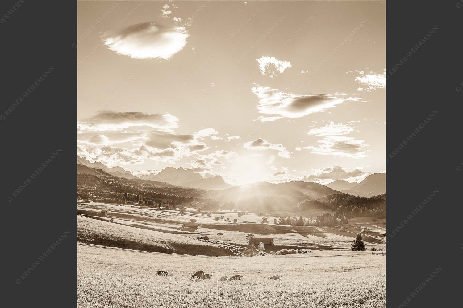 Blick in den Sonnenuntergang am Zugspitzmassiv - Am Tonihof 1:1 sepia -- Wetterstein und Estergebirge - mehr Infos bei www.Kriner-Weiermann.de
