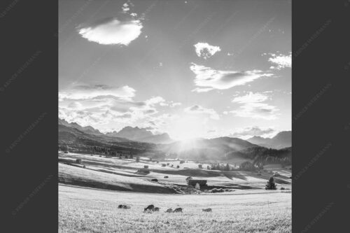 Blick in den Sonnenuntergang am Zugspitzmassiv - Am Tonihof 1:1 sw -- Wetterstein und Estergebirge - mehr Infos bei www.Kriner-Weiermann.de