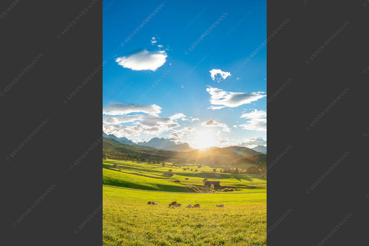Blick in den Sonnenuntergang am Zugspitzmassiv - Am Tonihof 2:3 -- Wetterstein und Estergebirge - mehr Infos bei www.Kriner-Weiermann.de