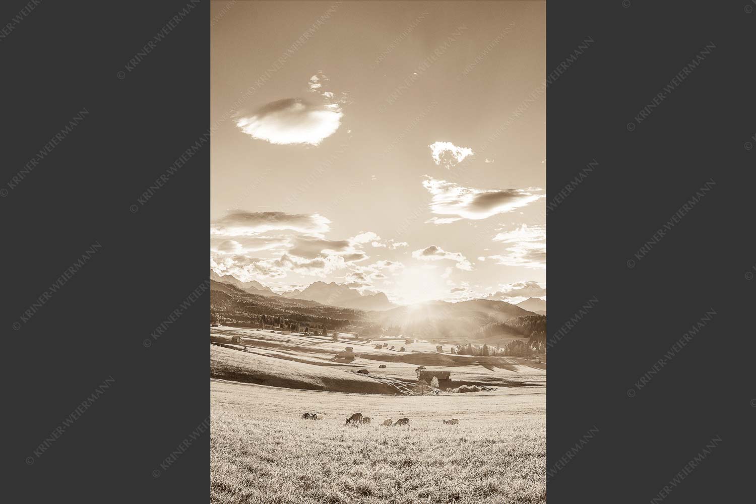 Blick in den Sonnenuntergang am Zugspitzmassiv - Am Tonihof 2:3 sepia -- Wetterstein und Estergebirge - mehr Infos bei www.Kriner-Weiermann.de