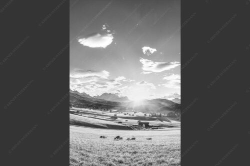 Blick in den Sonnenuntergang am Zugspitzmassiv - Am Tonihof 2:3 sw -- Wetterstein und Estergebirge - mehr Infos bei www.Kriner-Weiermann.de