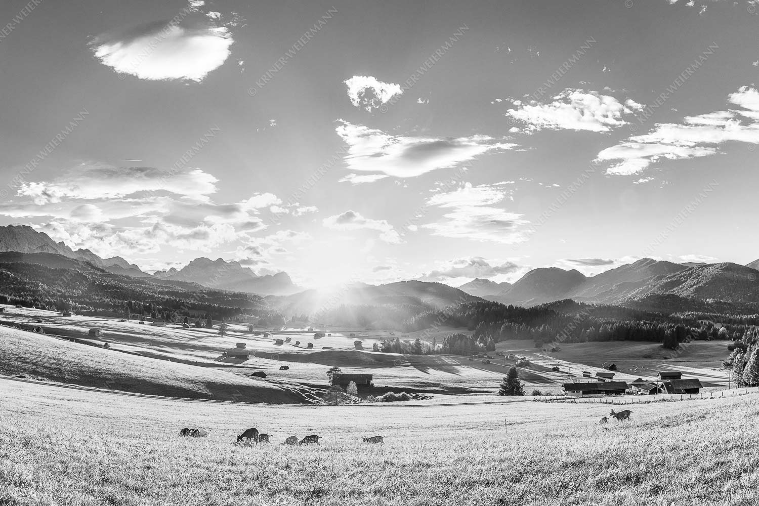 Blick in den Sonnenuntergang am Zugspitzmassiv - Am Tonihof 3:2 sw -- Wetterstein und Estergebirge - mehr Infos bei www.Kriner-Weiermann.de