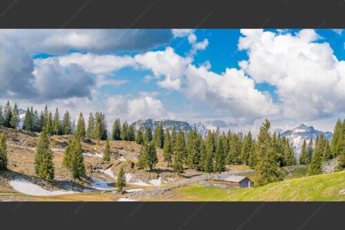Blick von der Moosenalm zum Soierngebirge - An der Moosenalm 2:1  -- Vorderskopf und Soiernspitze - mehr Infos bei www.Kriner-Weiermann.de