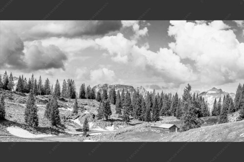 Blick von der Moosenalm zum Soierngebirge - An der Moosenalm 2:1 sw -- Vorderskopf und Soiernspitze - mehr Infos bei www.Kriner-Weiermann.de
