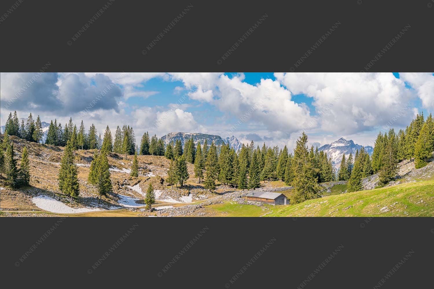 Blick von der Moosenalm zum Soierngebirge - An der Moosenalm 3:1  -- Vorderskopf und Soiernspitze - mehr Infos bei www.Kriner-Weiermann.de