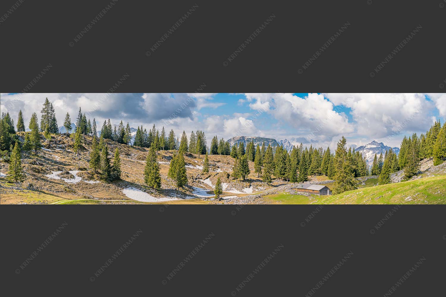 Blick von der Moosenalm zum Soierngebirge - An der Moosenalm 4:1 -- Vorderskopf und Soiernspitze - mehr Infos bei www.Kriner-Weiermann.de