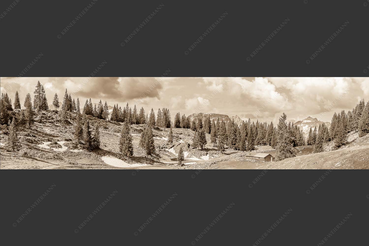 Blick von der Moosenalm zum Soierngebirge - An der Moosenalm 4:1 sepia -- Vorderskopf und Soiernspitze - mehr Infos bei www.Kriner-Weiermann.de