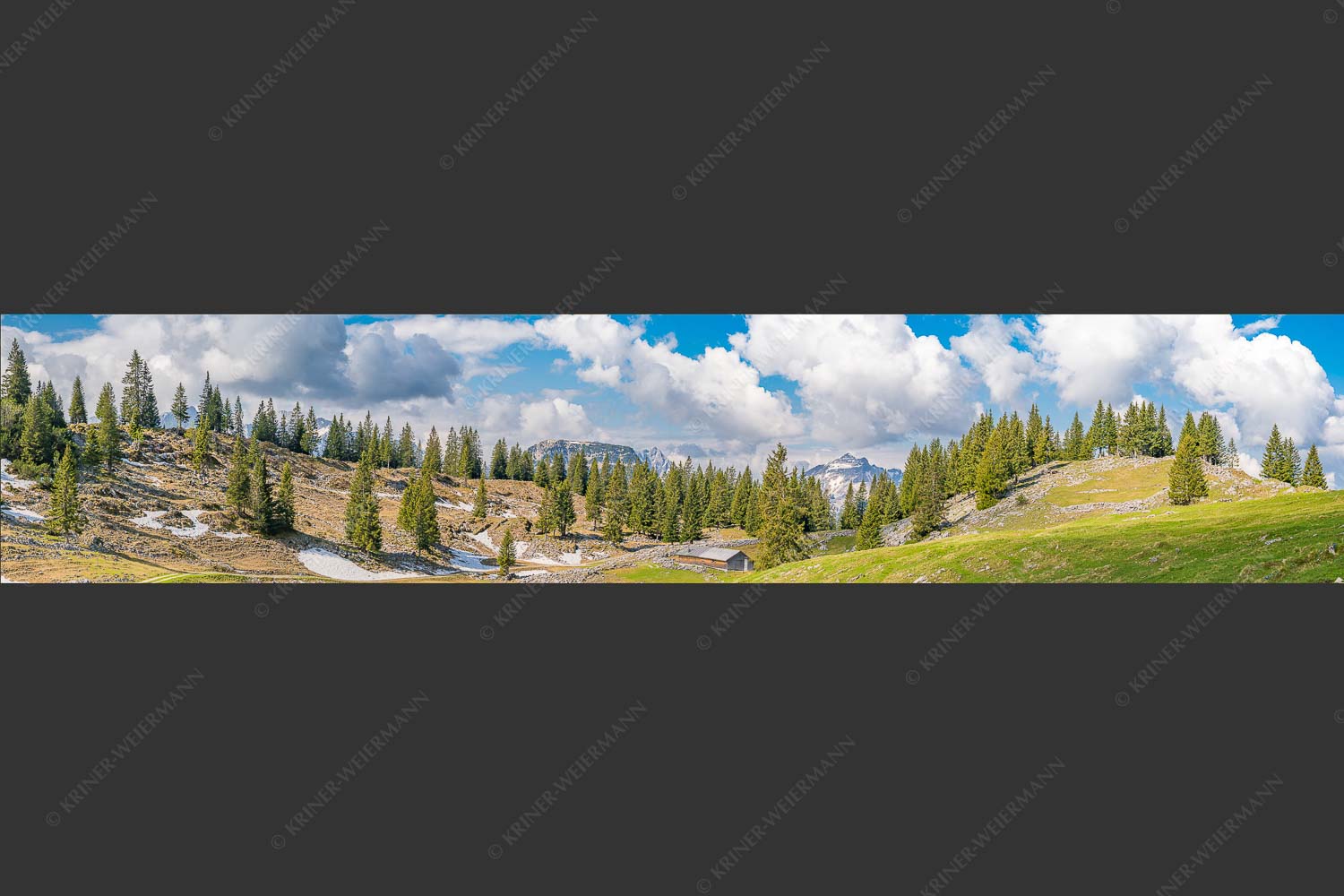 Blick von der Moosenalm zum Soierngebirge - An der Moosenalm 5:1  -- Vorderskopf und Soiernspitze - mehr Infos bei www.Kriner-Weiermann.de