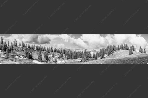 Blick von der Moosenalm zum Soierngebirge - An der Moosenalm 5:1 sw -- Vorderskopf und Soiernspitze - mehr Infos bei www.Kriner-Weiermann.de