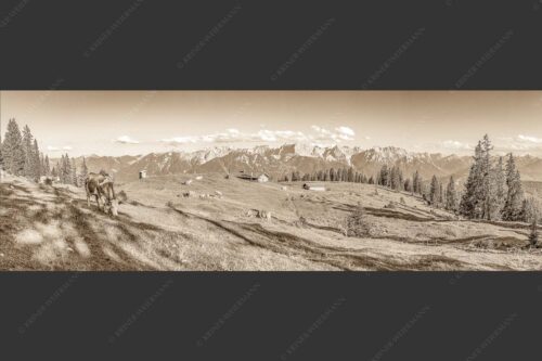 Blick über Krüneralm ins Karwendelgebirge - Auf da Krüneralm 3:1 sepia -- Kühe auf der Alm im Estergebirge - mehr Infos bei www.Kriner-Weiermann.de