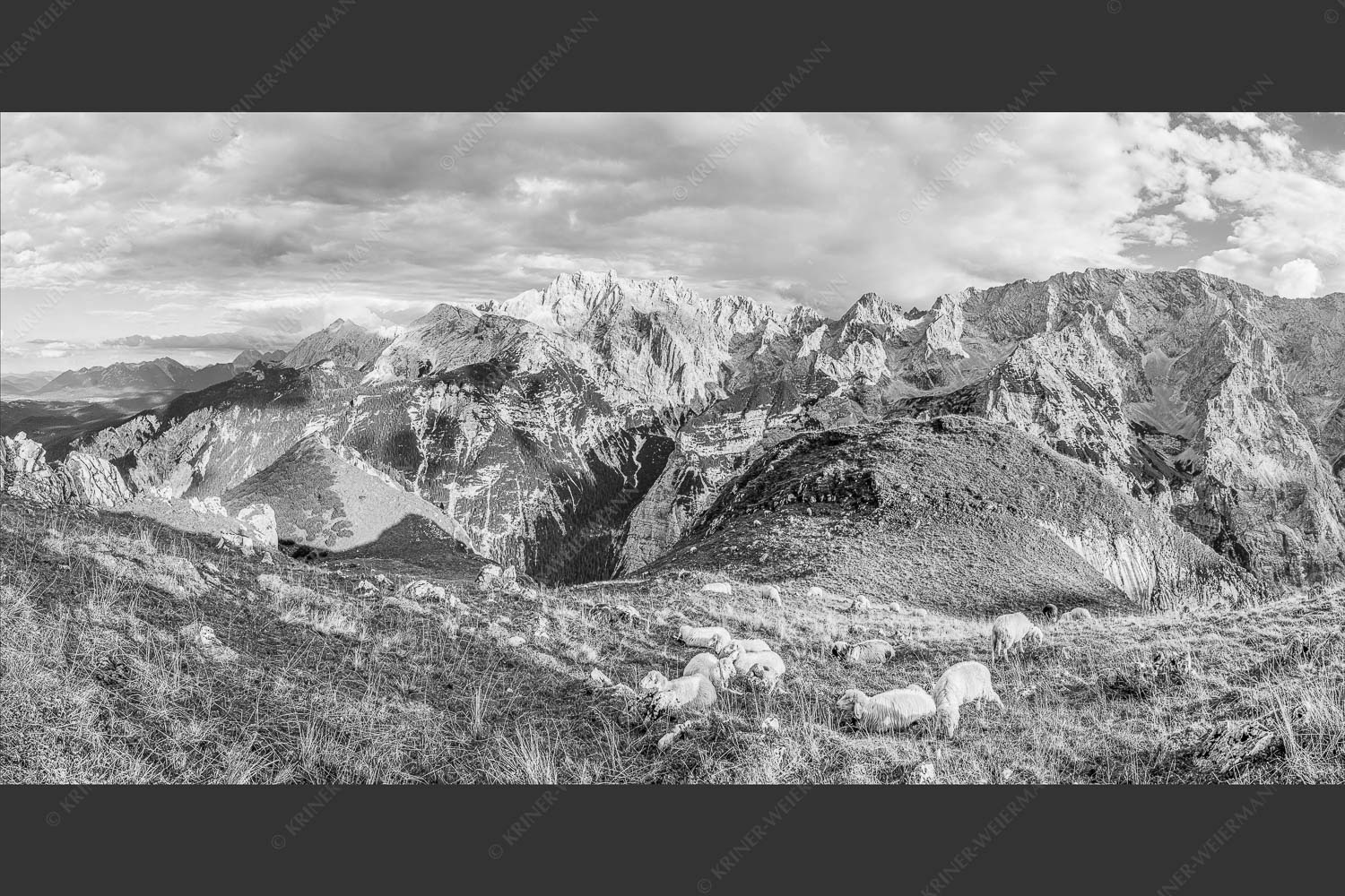 Bergschafe auf der letzten Herbstweide im Wettersteingebirge - Balsam für die Seele 2:1 sw -- Schafe im Wetterstein - mehr Infos bei www.Kriner-Weiermann.de