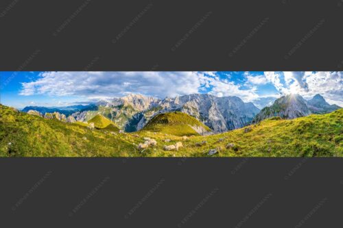 Bergschafe auf der letzten Herbstweide im Wettersteingebirge - Balsam für die Seele 4:1  -- Schafe im Wetterstein - mehr Infos bei www.Kriner-Weiermann.de