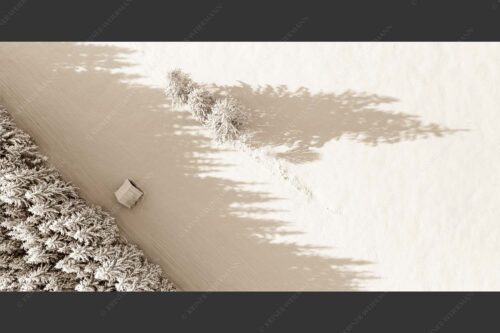 Bäume, Stadel und Schatten - Baumgrenze 2:1 sepia -- Schatten im Schnee - mehr Infos bei www.Kriner-Weiermann.de