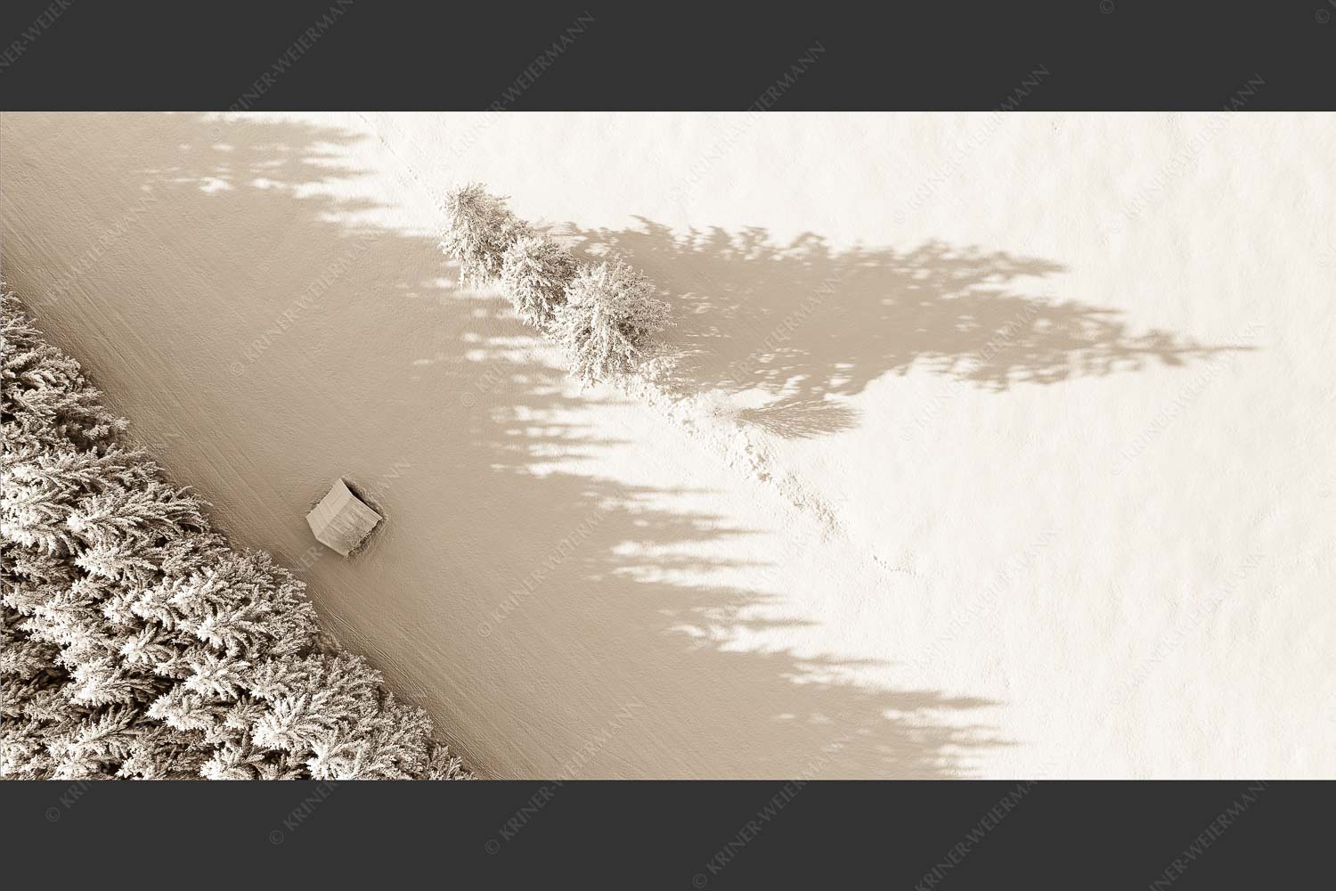 Bäume, Stadel und Schatten - Baumgrenze 2:1 sepia -- Schatten im Schnee - mehr Infos bei www.Kriner-Weiermann.de