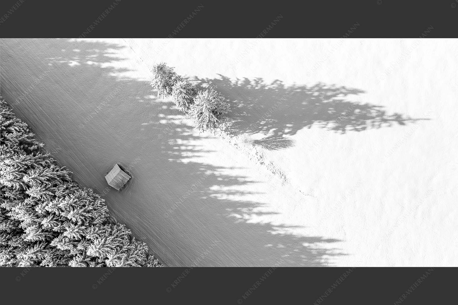 Bäume, Stadel und Schatten - Baumgrenze 2:1 sw -- Schatten im Schnee - mehr Infos bei www.Kriner-Weiermann.de