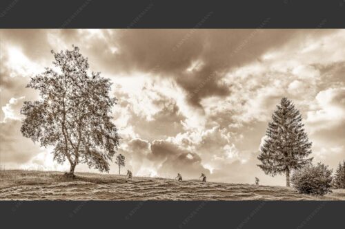 Vier Wiesmahtsleut auf den Buckelwiesen bei der Arbeit - Bei der Wiesmaht 2:1 sepia -- Heuernte auf Buckelwiesen - mehr Infos bei www.Kriner-Weiermann.de