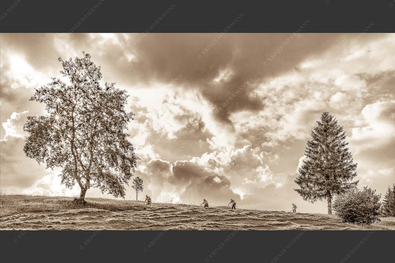 Vier Wiesmahtsleut auf den Buckelwiesen bei der Arbeit - Bei der Wiesmaht 2:1 sepia -- Heuernte auf Buckelwiesen - mehr Infos bei www.Kriner-Weiermann.de