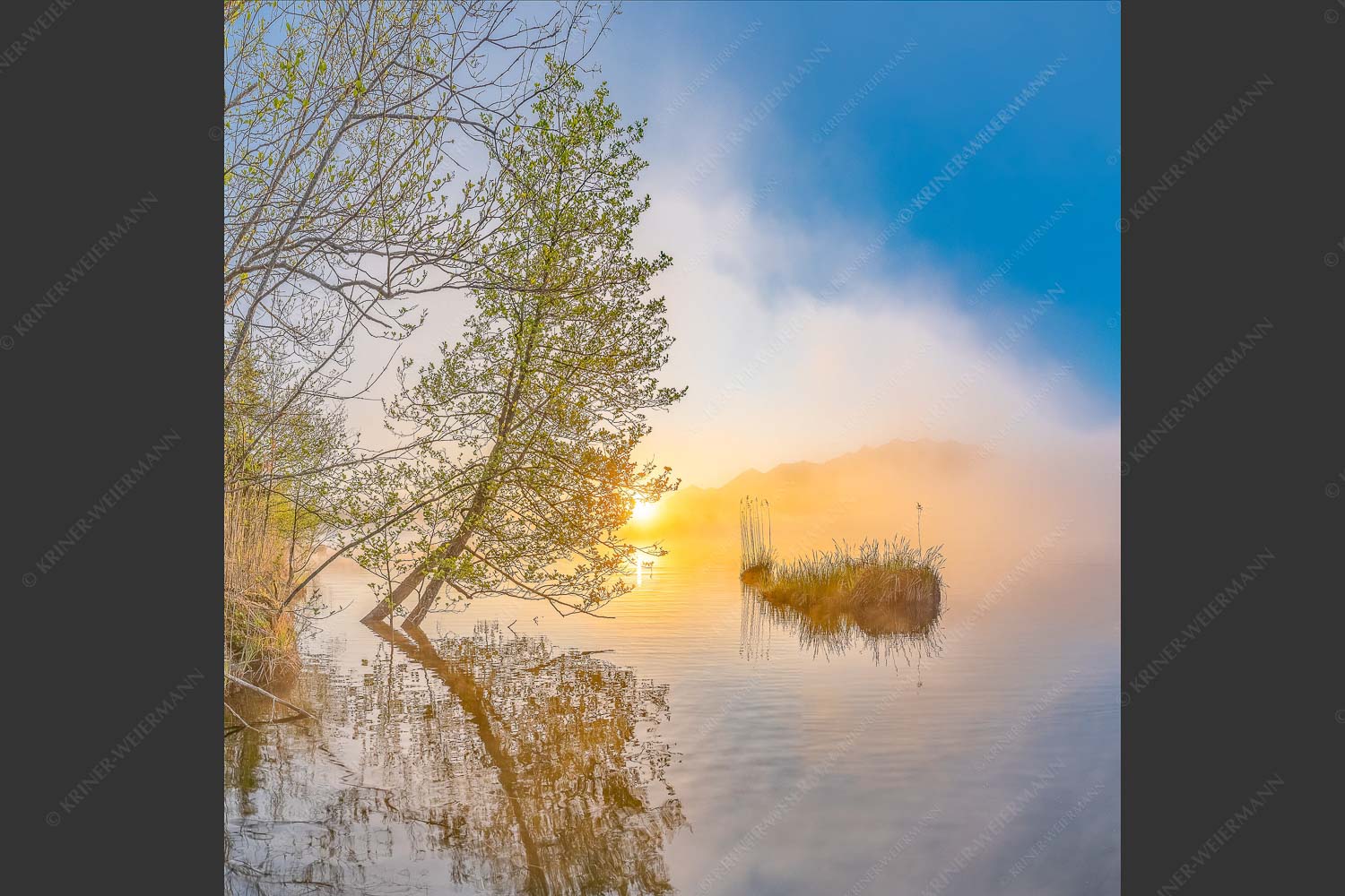 Sonnenaufgang am Barmsee - Benebelt 1:1 -- Morgenstimmung am Barmsee - mehr Infos bei www.Kriner-Weiermann.de