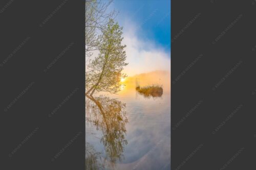 Sonnenaufgang am Barmsee - Benebelt 1:2  -- Morgenstimmung am Barmsee - mehr Infos bei www.Kriner-Weiermann.de