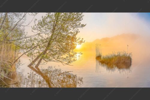 Sonnenaufgang am Barmsee - Benebelt 2:1  -- Morgenstimmung am Barmsee - mehr Infos bei www.Kriner-Weiermann.de