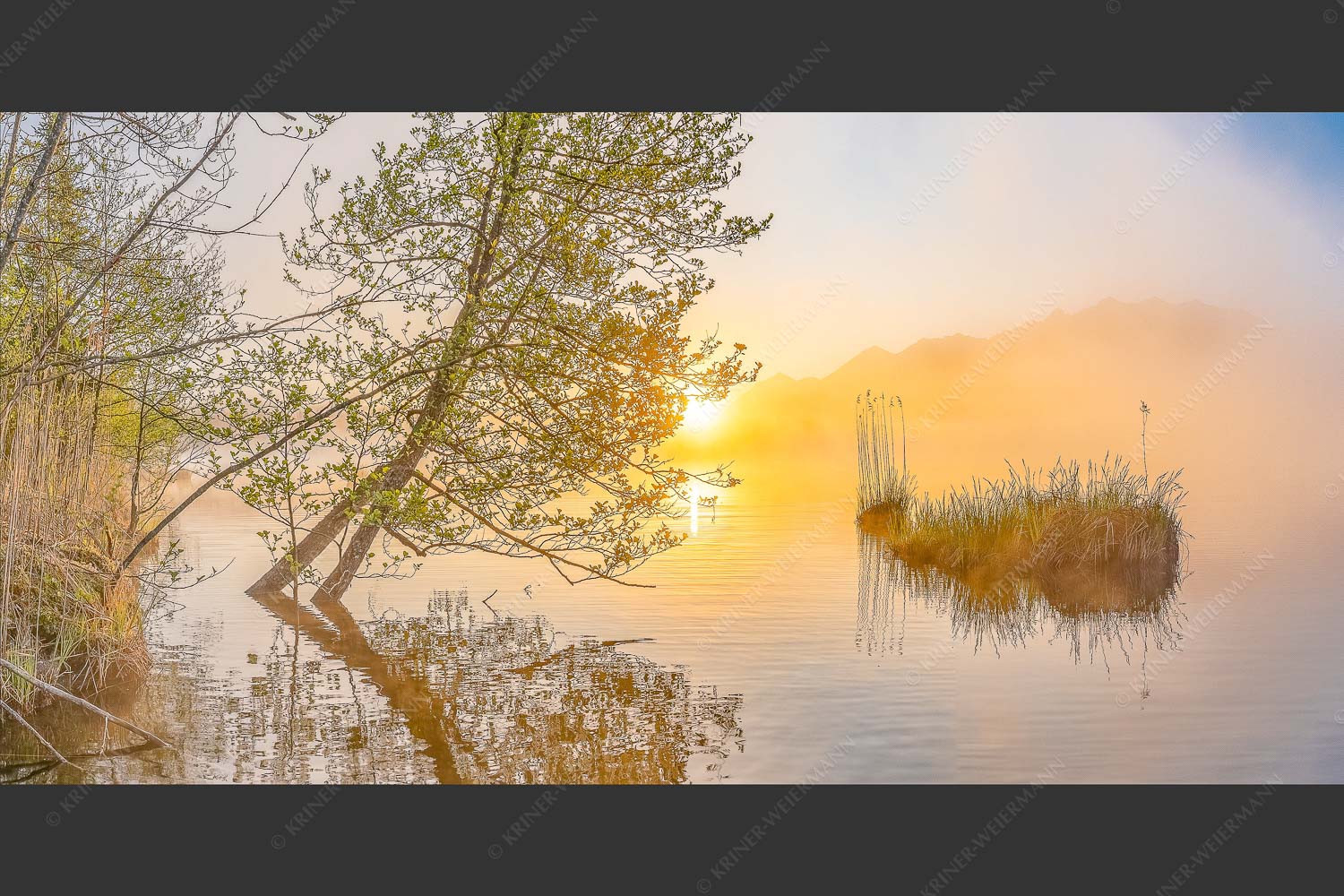 Sonnenaufgang am Barmsee - Benebelt 2:1 -- Morgenstimmung am Barmsee - mehr Infos bei www.Kriner-Weiermann.de
