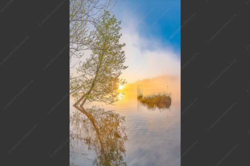 Sonnenaufgang am Barmsee - Benebelt 2:3  -- Morgenstimmung am Barmsee - mehr Infos bei www.Kriner-Weiermann.de
