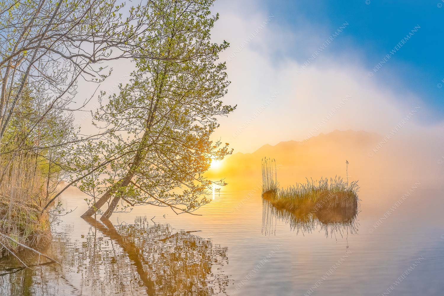 Sonnenaufgang am Barmsee - Benebelt 3:2 -- Morgenstimmung am Barmsee - mehr Infos bei www.Kriner-Weiermann.de