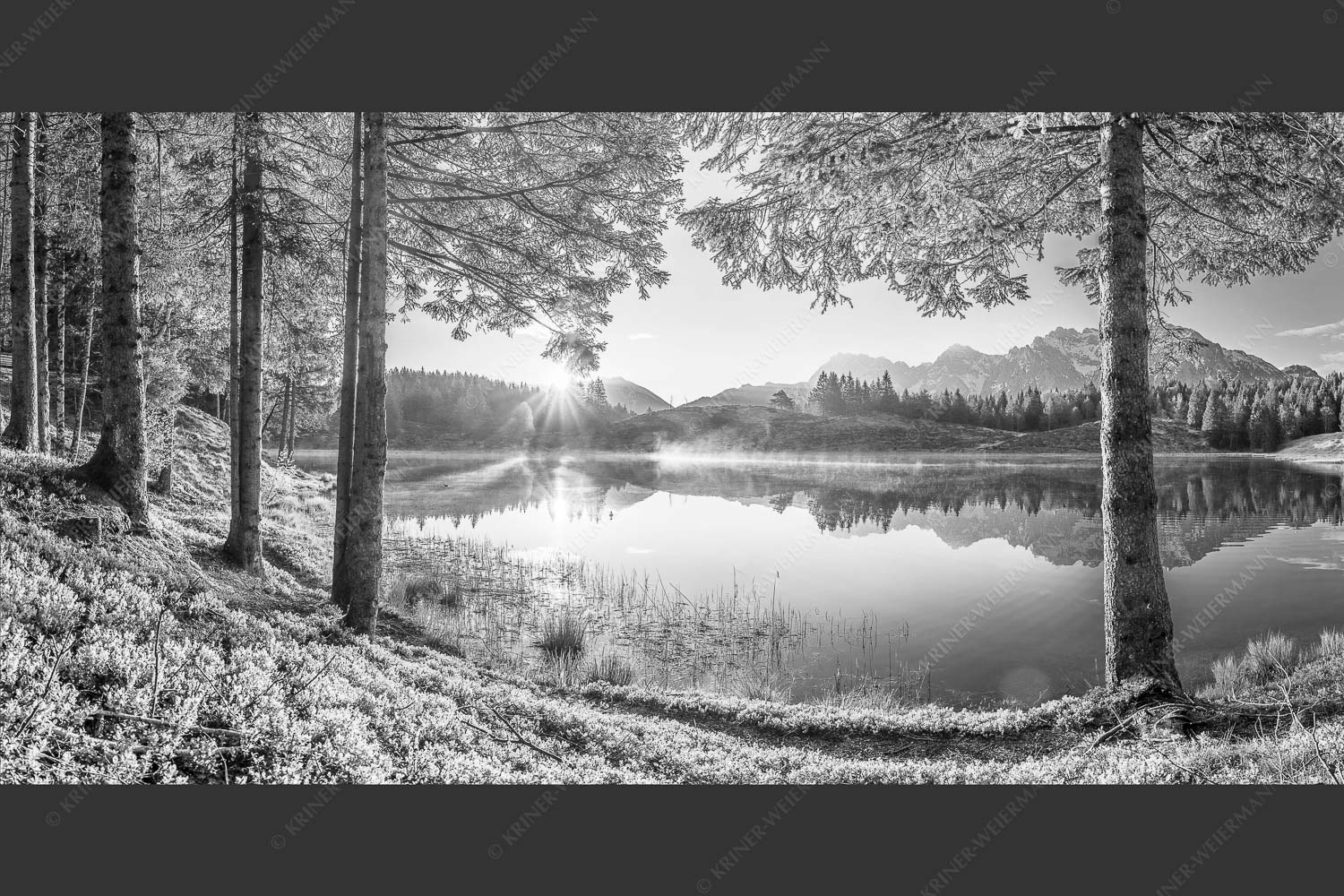 Blick über den Wildensee zum Sonnenaufgang im Soierngebirge mit Karwendel - Blaubeerwald 2:1 sw -- Sonnenaufgang am Wildensee - mehr Infos bei www.Kriner-Weiermann.de