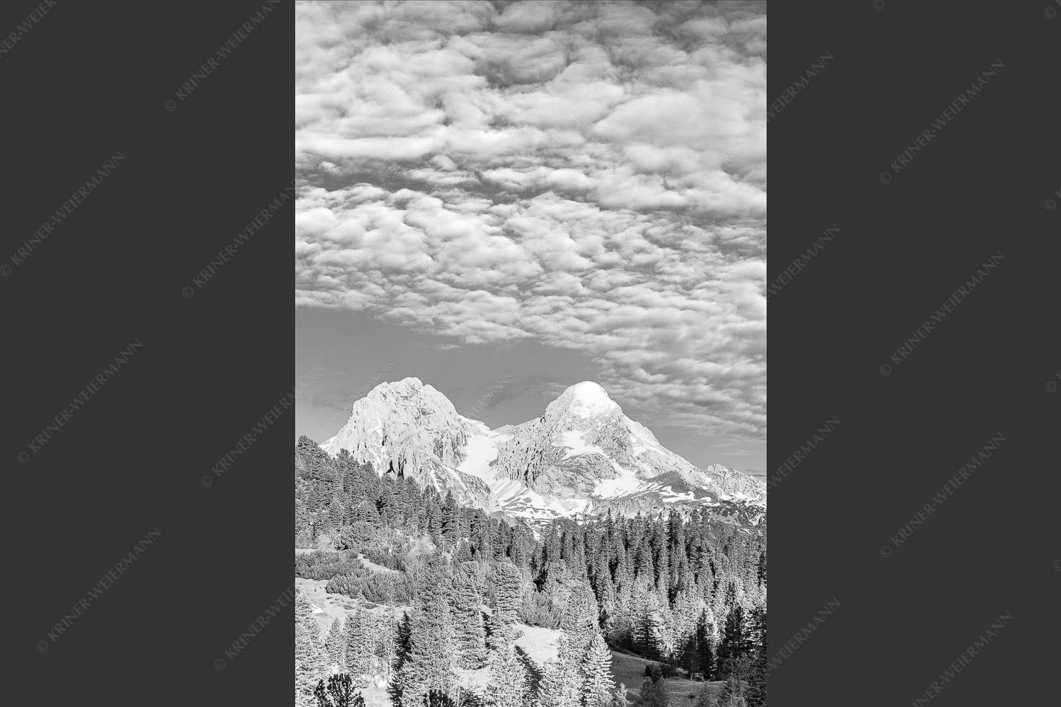Blick über Schachenschloss zum Hochblassen und Alpspitze im Wettersteingebirge - Der höhere Unscheinbare 2:3 sw -- Hochblassen und Alpspitze - mehr Infos bei www.Kriner-Weiermann.de