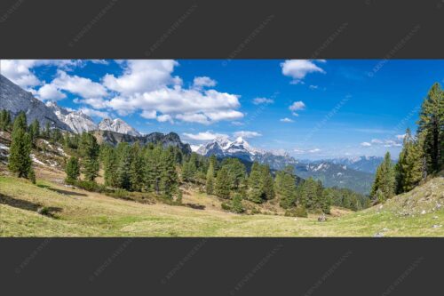 Großer Zirbenbestand auf der Wettersteinnordseite mit Blick aufs Zugspitzmassiv - Die Farben deines Himmels 2,5:1  -- Frühling im Wettersteingebirge - mehr Infos bei www.Kriner-Weiermann.de
