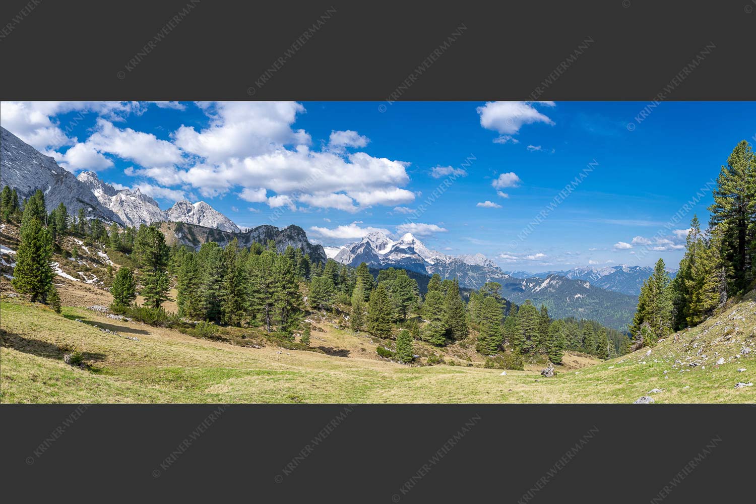 Großer Zirbenbestand auf der Wettersteinnordseite mit Blick aufs Zugspitzmassiv - Die Farben deines Himmels 2,5:1  -- Frühling im Wettersteingebirge - mehr Infos bei www.Kriner-Weiermann.de