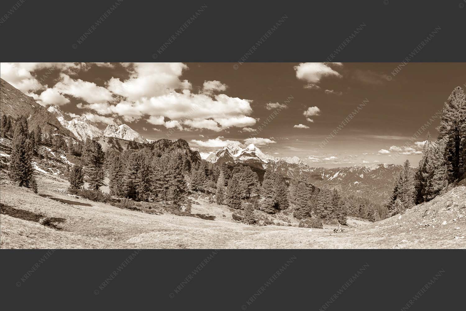 Großer Zirbenbestand auf der Wettersteinnordseite mit Blick aufs Zugspitzmassiv - Die Farben deines Himmels 2,5:1 sepia -- Frühling im Wettersteingebirge - mehr Infos bei www.Kriner-Weiermann.de