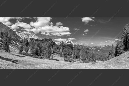 Großer Zirbenbestand auf der Wettersteinnordseite mit Blick aufs Zugspitzmassiv - Die Farben deines Himmels 2,5:1 sw -- Frühling im Wettersteingebirge - mehr Infos bei www.Kriner-Weiermann.de