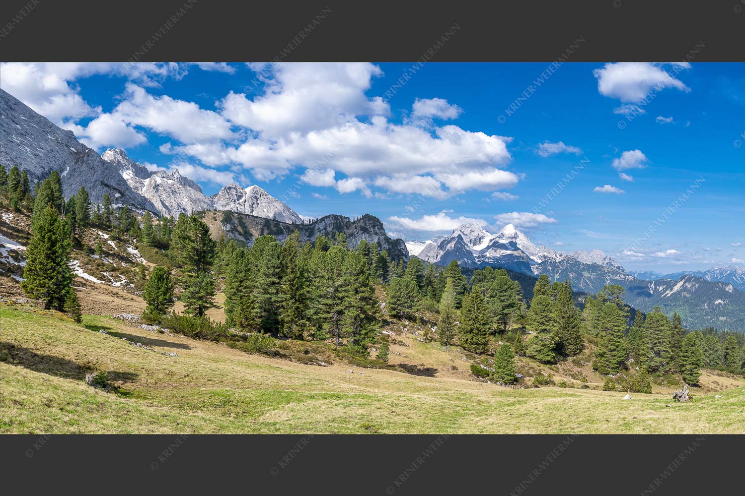 Großer Zirbenbestand auf der Wettersteinnordseite mit Blick aufs Zugspitzmassiv - Die Farben deines Himmels 2:1  -- Frühling im Wettersteingebirge - mehr Infos bei www.Kriner-Weiermann.de