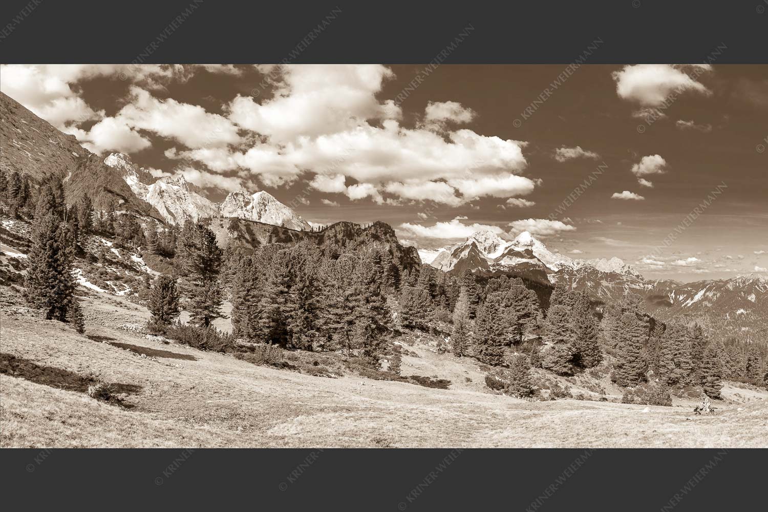 Großer Zirbenbestand auf der Wettersteinnordseite mit Blick aufs Zugspitzmassiv - Die Farben deines Himmels 2:1 sepia -- Frühling im Wettersteingebirge - mehr Infos bei www.Kriner-Weiermann.de