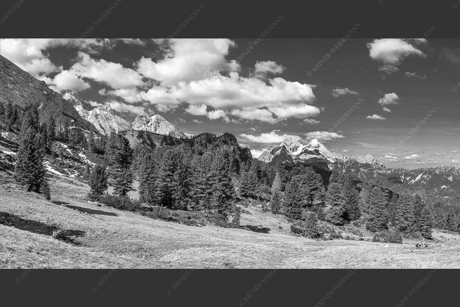 Großer Zirbenbestand auf der Wettersteinnordseite mit Blick aufs Zugspitzmassiv - Die Farben deines Himmels 2:1 sw -- Frühling im Wettersteingebirge - mehr Infos bei www.Kriner-Weiermann.de