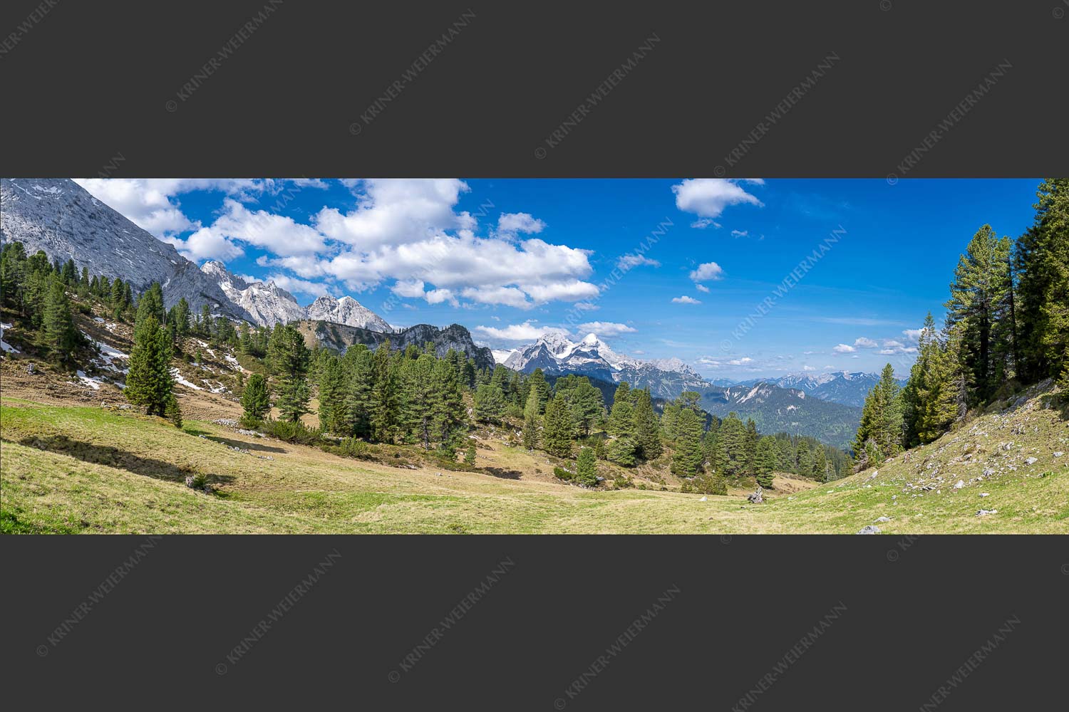 Großer Zirbenbestand auf der Wettersteinnordseite mit Blick aufs Zugspitzmassiv - Die Farben deines Himmels 3:1 -- Frühling im Wettersteingebirge - mehr Infos bei www.Kriner-Weiermann.de