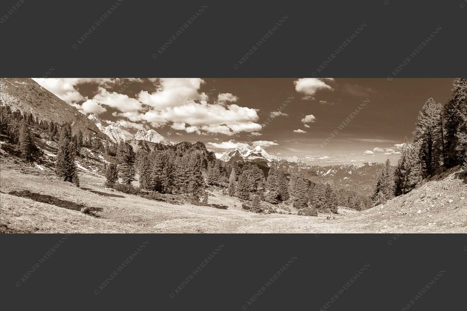 Großer Zirbenbestand auf der Wettersteinnordseite mit Blick aufs Zugspitzmassiv - Die Farben deines Himmels 3:1 sepia -- Frühling im Wettersteingebirge - mehr Infos bei www.Kriner-Weiermann.de