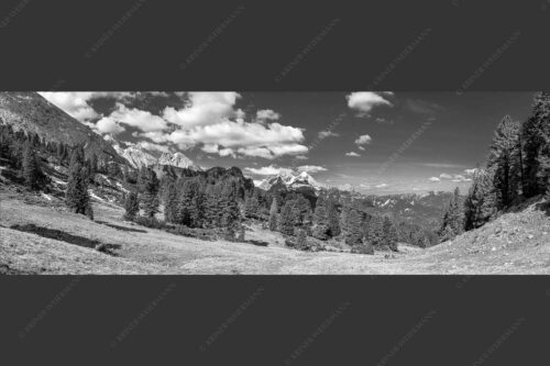 Großer Zirbenbestand auf der Wettersteinnordseite mit Blick aufs Zugspitzmassiv - Die Farben deines Himmels 3:1 sw -- Frühling im Wettersteingebirge - mehr Infos bei www.Kriner-Weiermann.de