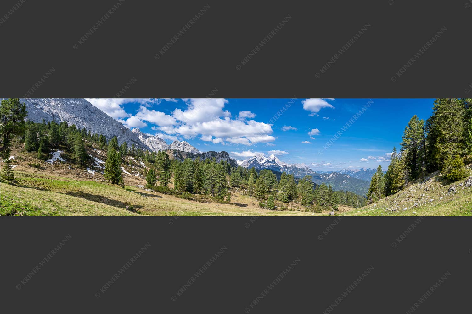 Großer Zirbenbestand auf der Wettersteinnordseite mit Blick aufs Zugspitzmassiv - Die Farben deines Himmels 4:1  -- Frühling im Wettersteingebirge - mehr Infos bei www.Kriner-Weiermann.de