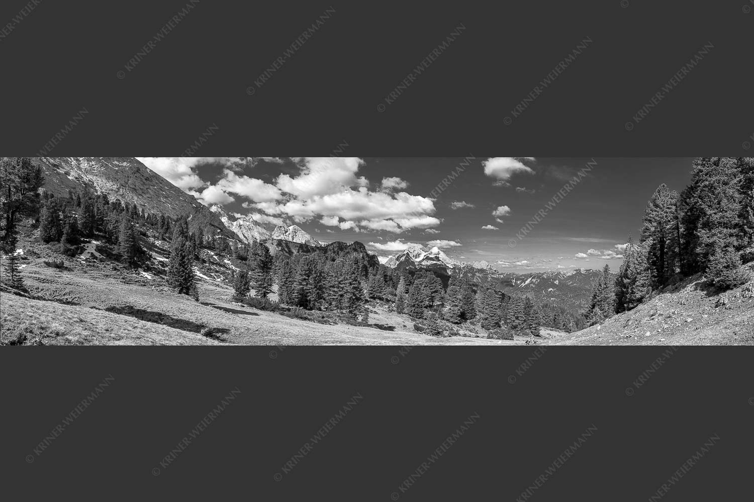Großer Zirbenbestand auf der Wettersteinnordseite mit Blick aufs Zugspitzmassiv - Die Farben deines Himmels 4:1 sw -- Frühling im Wettersteingebirge - mehr Infos bei www.Kriner-Weiermann.de