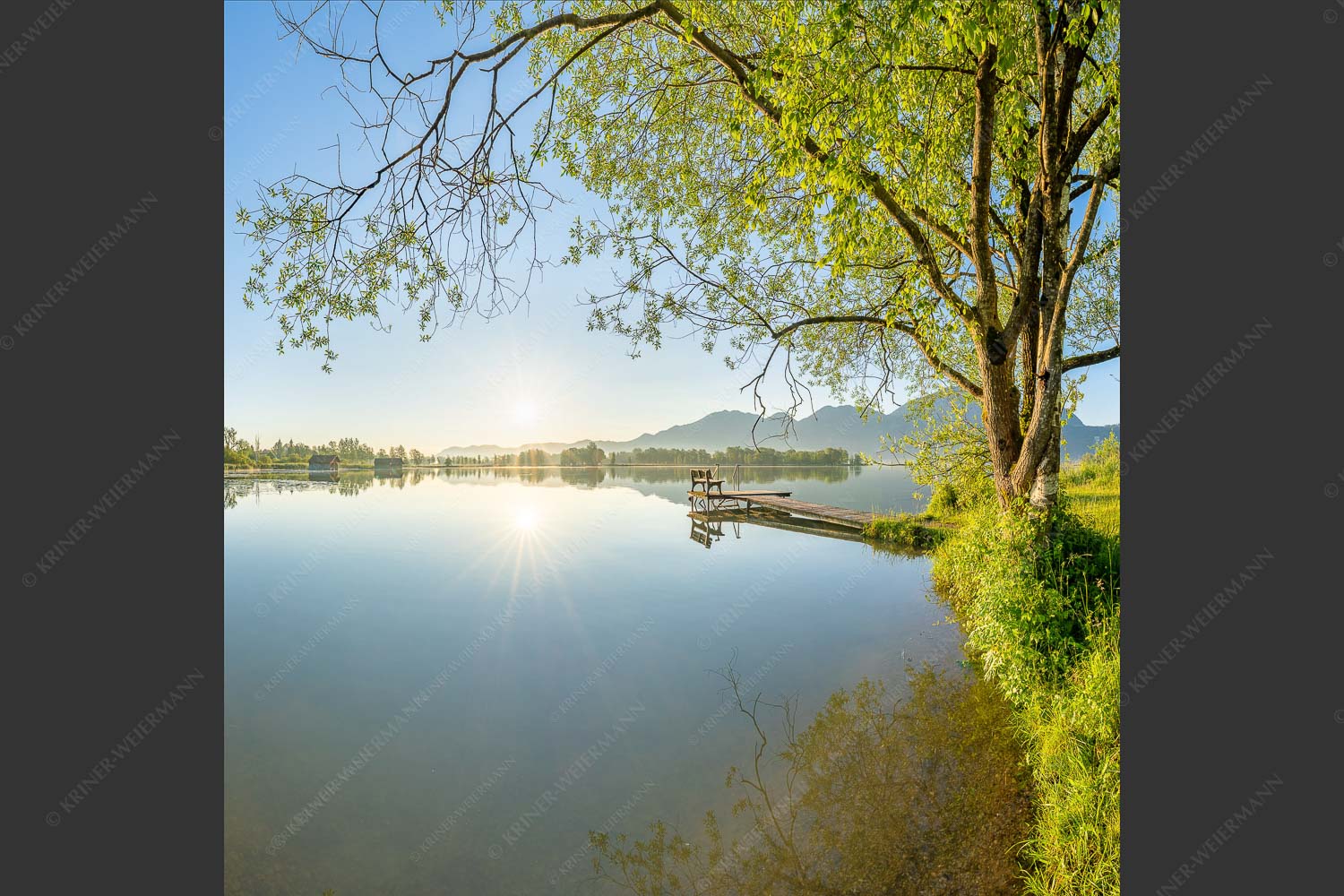 Blick über den Kochelsee bei Schlehdorf in den Sonnenaufgang - Die Sonne geht immer wieder auf II 1:1 -- Bootssteg am Kochelsee - mehr Infos bei www.Kriner-Weiermann.de