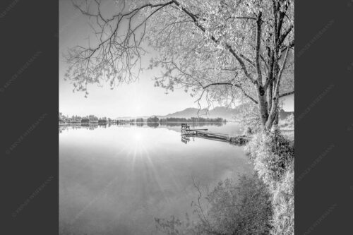 Blick über den Kochelsee bei Schlehdorf in den Sonnenaufgang - Die Sonne geht immer wieder auf II 1:1 sw -- Bootssteg am Kochelsee - mehr Infos bei www.Kriner-Weiermann.de