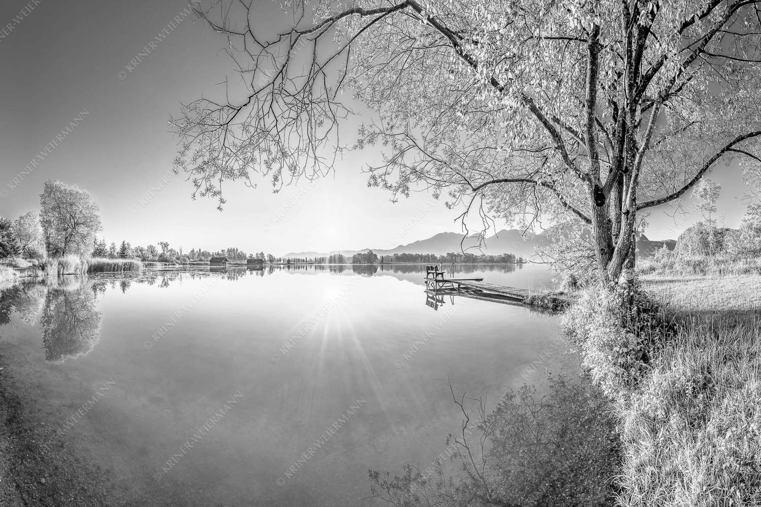 Blick über den Kochelsee bei Schlehdorf in den Sonnenaufgang - Die Sonne geht immer wieder auf II 3:2 sw -- Bootssteg am Kochelsee - mehr Infos bei www.Kriner-Weiermann.de