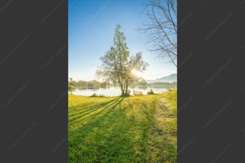 Wiese bei Schlehdorf bei Sonnenaufgang am Kochelsee - Die Sonne geht immer wieder auf 2:3  -- Sonnenaufgang am Kochelsee - mehr Infos bei www.Kriner-Weiermann.de