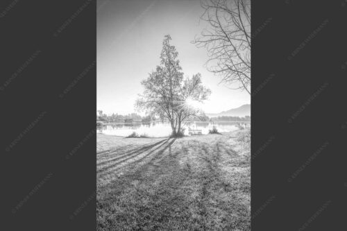 Wiese bei Schlehdorf bei Sonnenaufgang am Kochelsee - Die Sonne geht immer wieder auf 2:3 sw -- Sonnenaufgang am Kochelsee - mehr Infos bei www.Kriner-Weiermann.de