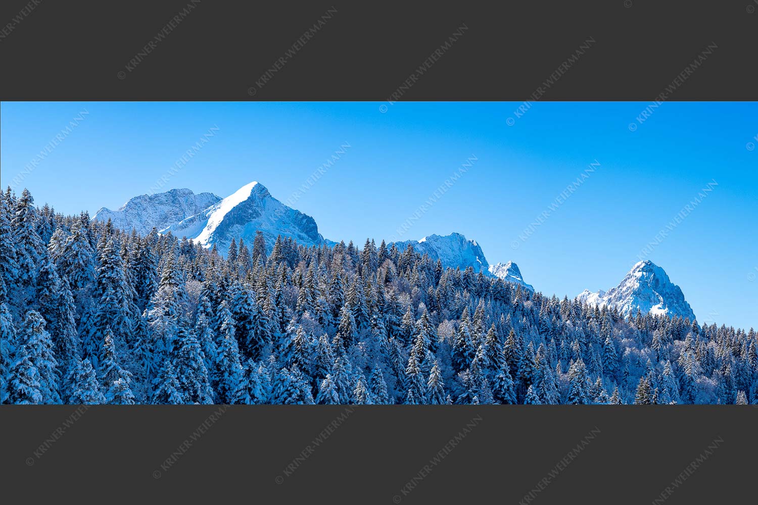 Wald bei Garmisch-Partenirchen mit Alpspitze, Zugspitze und Waxenstein im Wettersteingebirge - Die Wichtigsten 2,5:1 -- Alpspitze Zugspitze und Waxenstein - mehr Infos bei www.Kriner-Weiermann.de